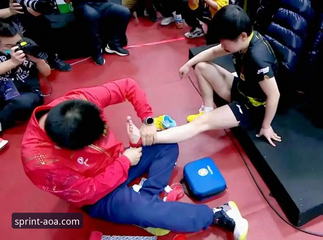 AOA体育APP用户评价哪个好 中国女乒世乒赛小组赛操作教程:如何像陈幸同一样掌控比赛节奏
